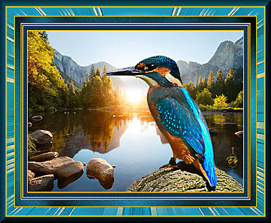 Les 32 - Kingfisher