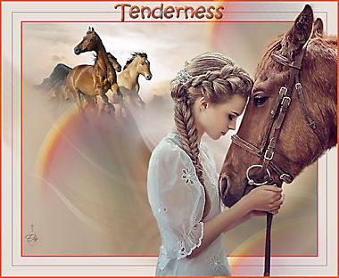 Les 37 - Tenderness