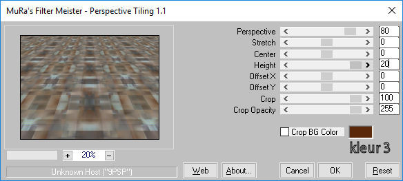 les 50   pnt 14   MuRas Meister perspective tiling