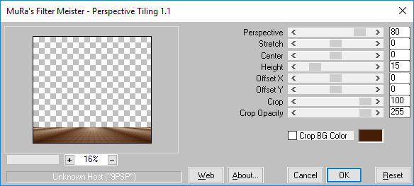 les 52 pnt 7 muras meister perspective tiling