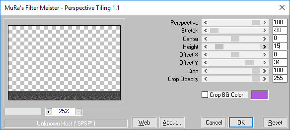 les 60   pnt 30   muras meister perspective tiling