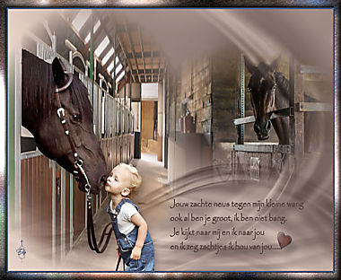 Les 65 - Paardenliefde