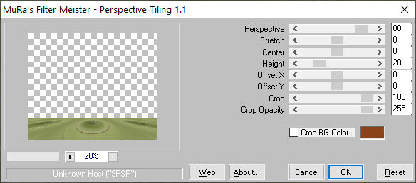 les 68 pnt 28 Muras Meister Perspective Tiling