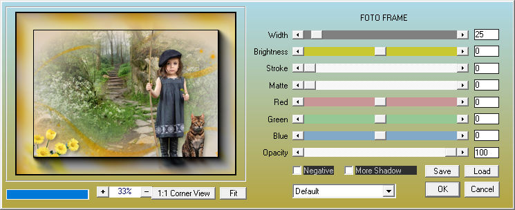 les 81 pnt 27 fotoframe