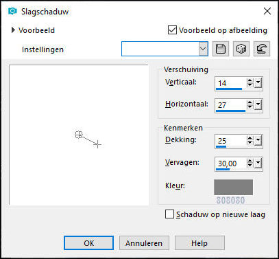 les 106 pnt 52 slagschaduw meisje