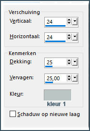 les 110 pnt 40 slagschaduw vrouw