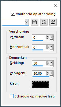 les 110 pnt 47 slagschaduw rand