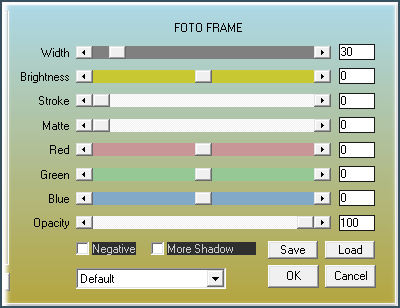 les 110 pnt 56 fotoframe