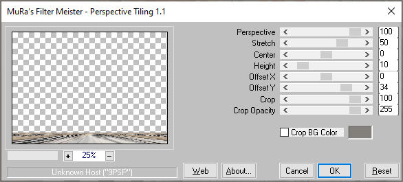 les 111 pnt 25 MM perspective tiling
