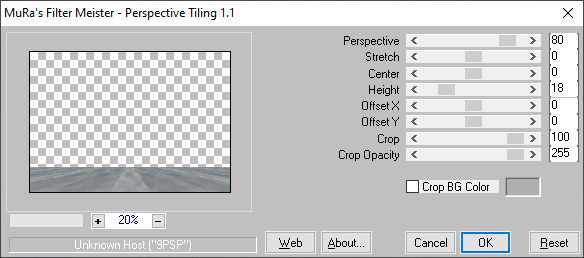 les 88 pnt 17 Muras Meister perspective tiling